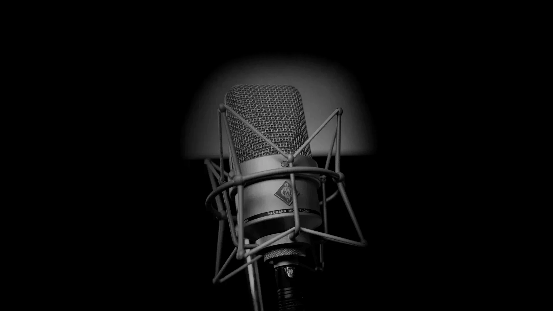 Neumann Mikrofon im Tonstudio