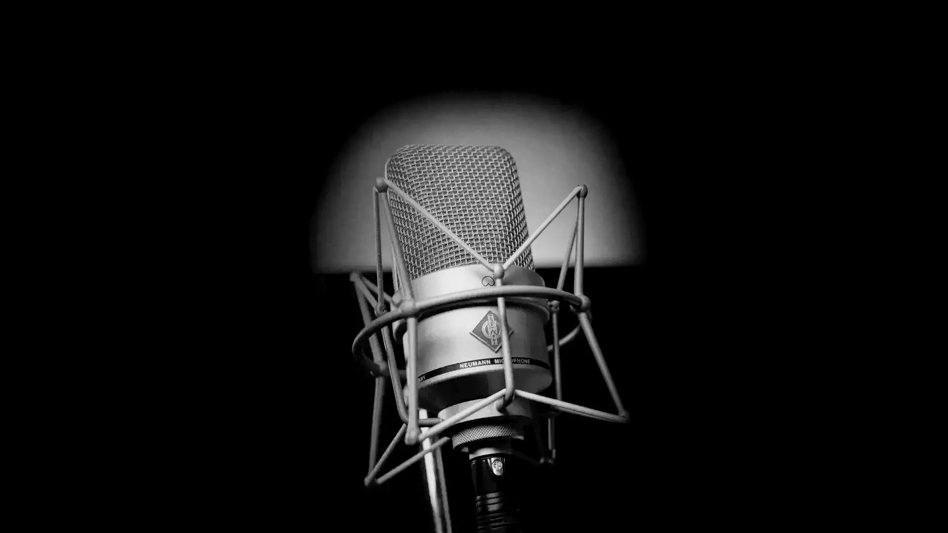 Neumann Mikrofon im Tonstudio